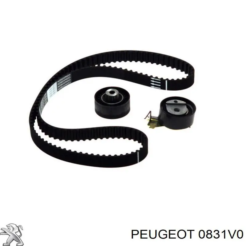 0831V0 Peugeot/Citroen Pasek rozrządu, zestaw