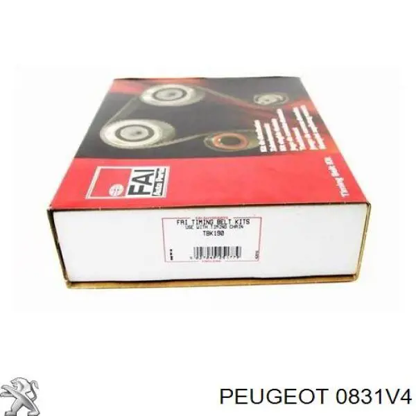 0831V4 Peugeot/Citroen Pasek rozrządu, zestaw