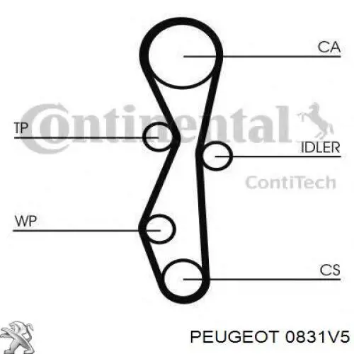 Pasek rozrządu, zestaw Peugeot/Citroen 0831V5 cena, od 122,21 USD