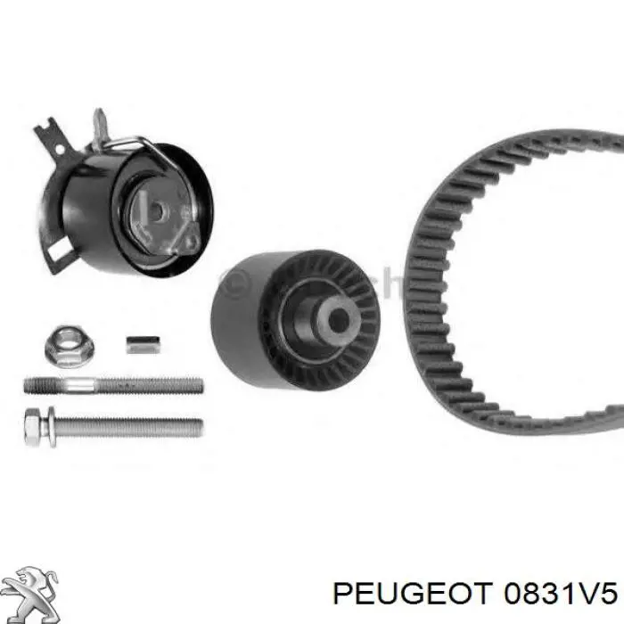 Do koszyka 0831V5 Peugeot/Citroen Pasek rozrządu, zestaw