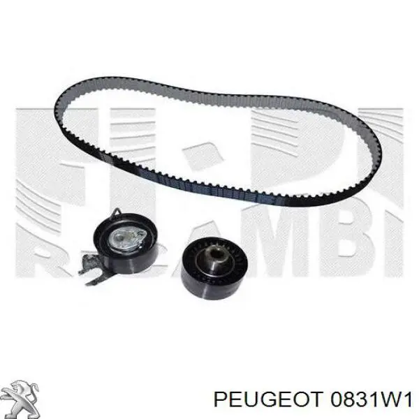 Pasek rozrządu, zestaw Peugeot/Citroen 0831W1 cena, od 87,04 USD