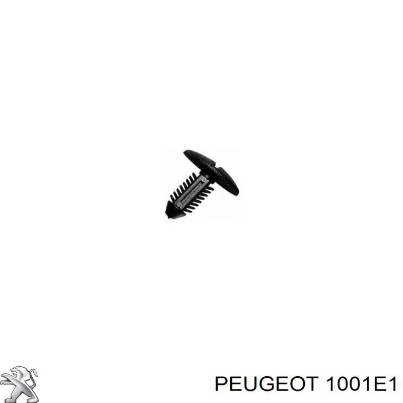 Do koszyka 1001E1 Peugeot/Citroen Pompa oleju