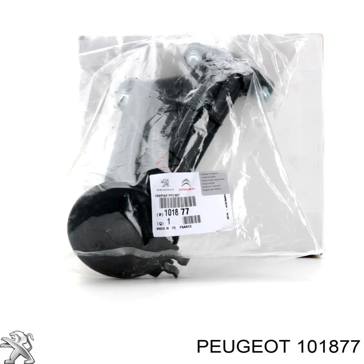 Do koszyka Kanał ssący Citroen Jumpy II 