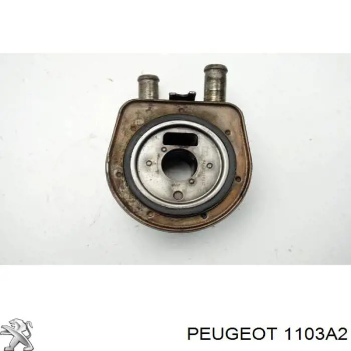 Do koszyka 00001103A2 Peugeot/Citroen Chłodnica oleju, pod filtrem
