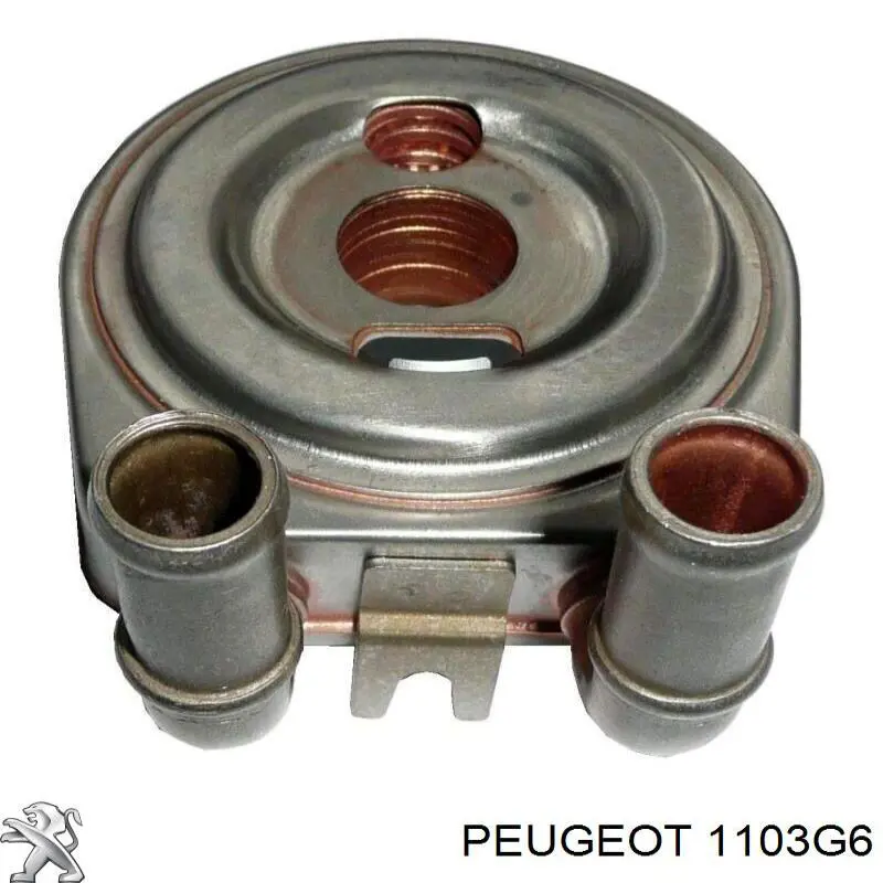 Do koszyka 1103G6 Peugeot/Citroen Chłodnica oleju, pod filtrem