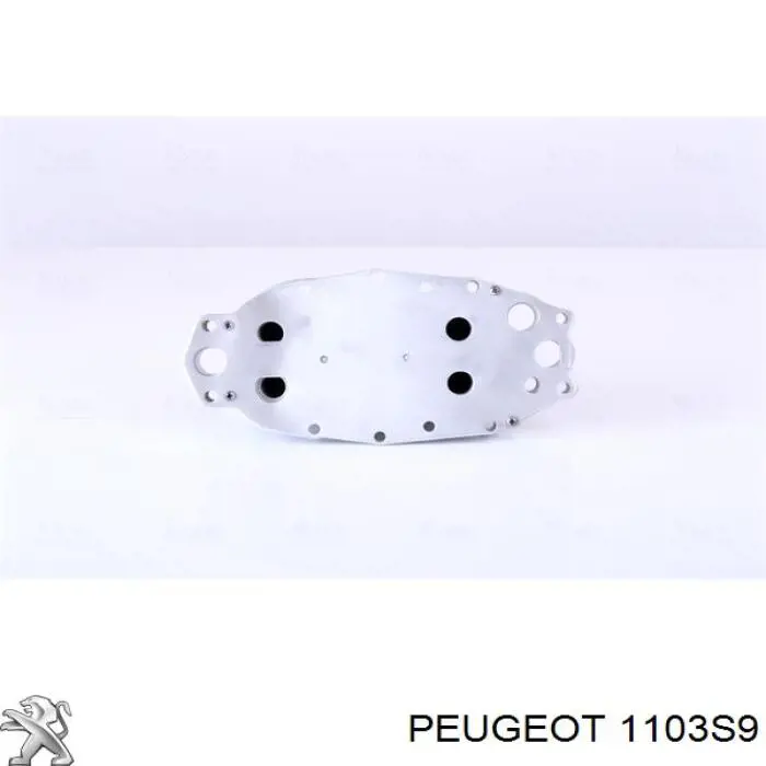 Obudowa filtra oleju Peugeot/Citroen 1103S9 cena, od 62,96 USD
