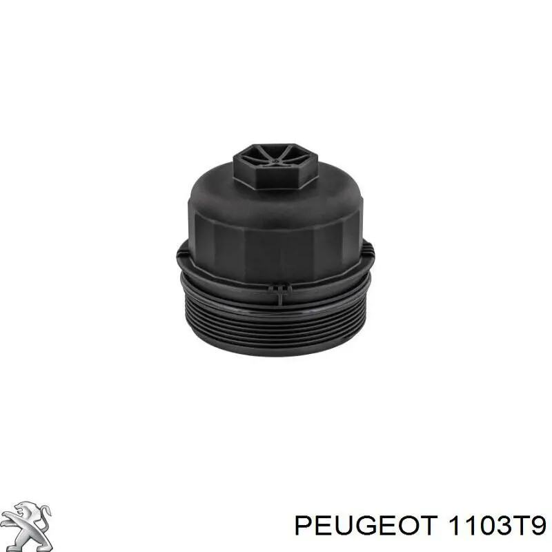 1103T9 Peugeot/Citroen Pokrywa filtra oleju