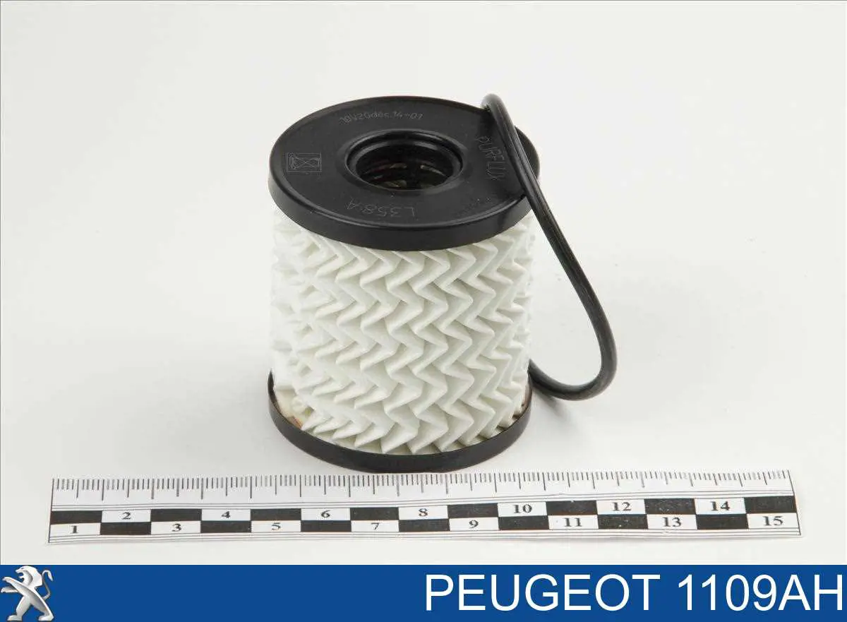 1109AH Peugeot/Citroen filtr oleju