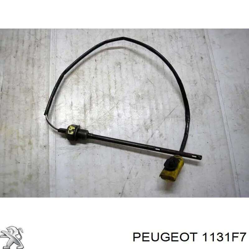 Do koszyka 00001131F7 Peugeot/Citroen Czujnik poziomu oleju silnikowego