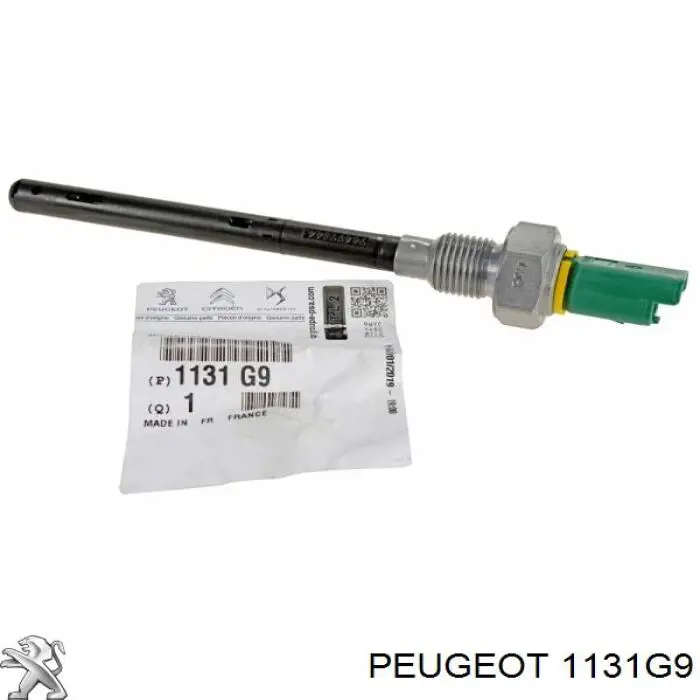 1131G9 Peugeot/Citroen Czujnik poziomu oleju silnikowego