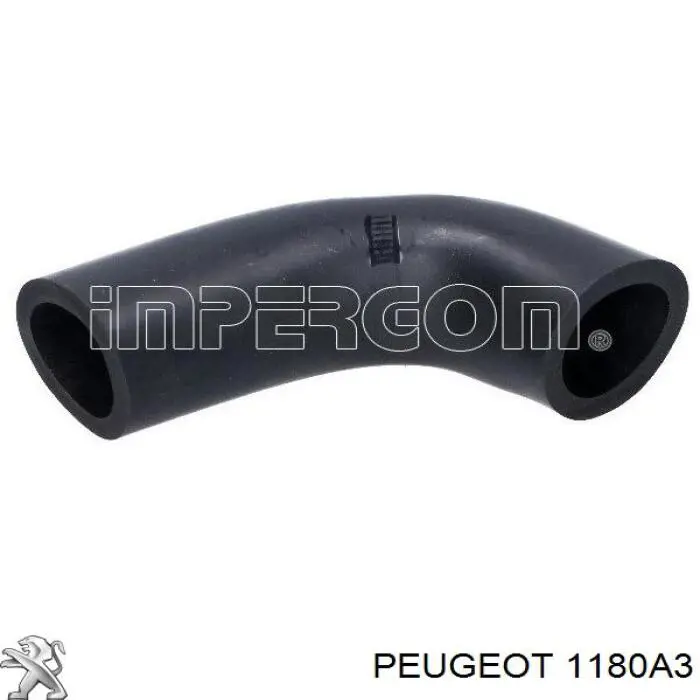 Do koszyka 1180A3 Peugeot/Citroen Króciec wentylacji kadłuba (separatora oleju)