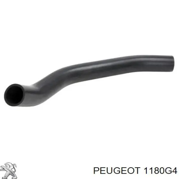Do koszyka 1180G4 Peugeot/Citroen Króciec wentylacji kadłuba (separatora oleju)