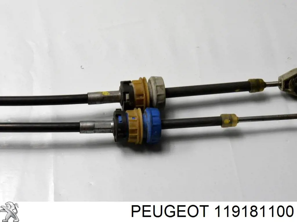  Peugeot/Citroen 119181100 cena, od 47,41 USD