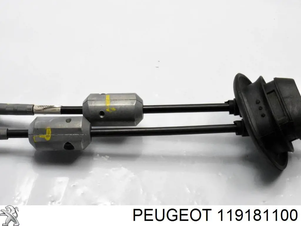  119181100 Peugeot/Citroen
