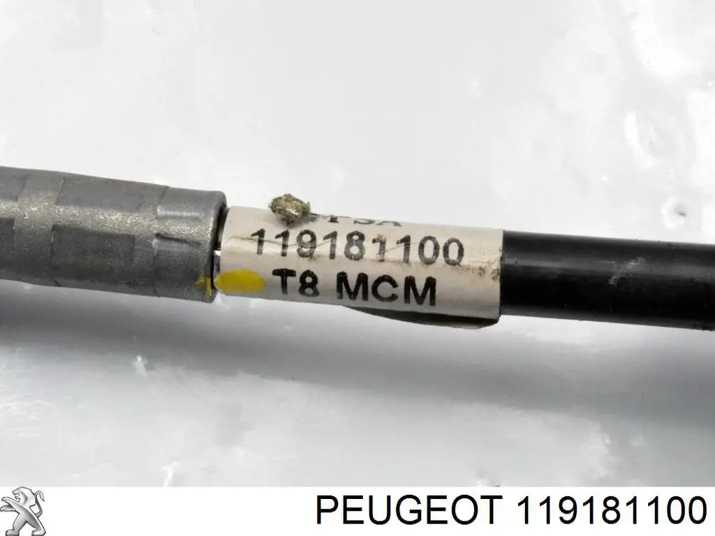 119181100 Peugeot/Citroen 
