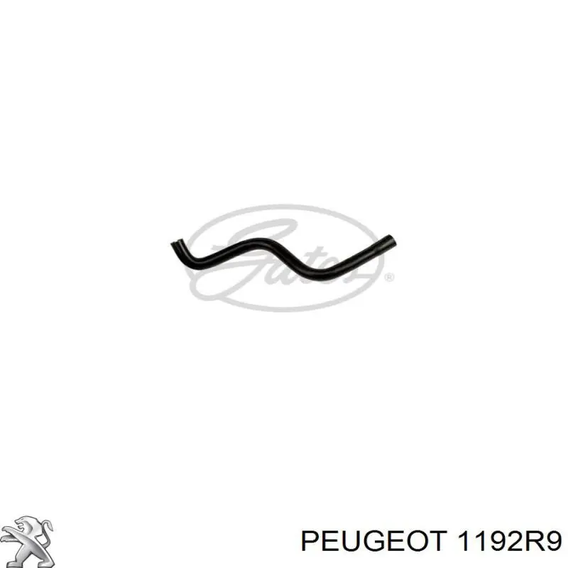 Króciec wentylacji kadłuba (separatora oleju) do Peugeot Boxer II 244