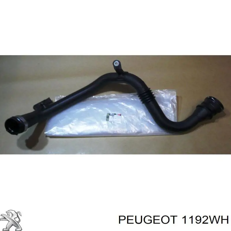 Króciec wentylacji kadłuba (separatora oleju) Peugeot/Citroen 1192WH