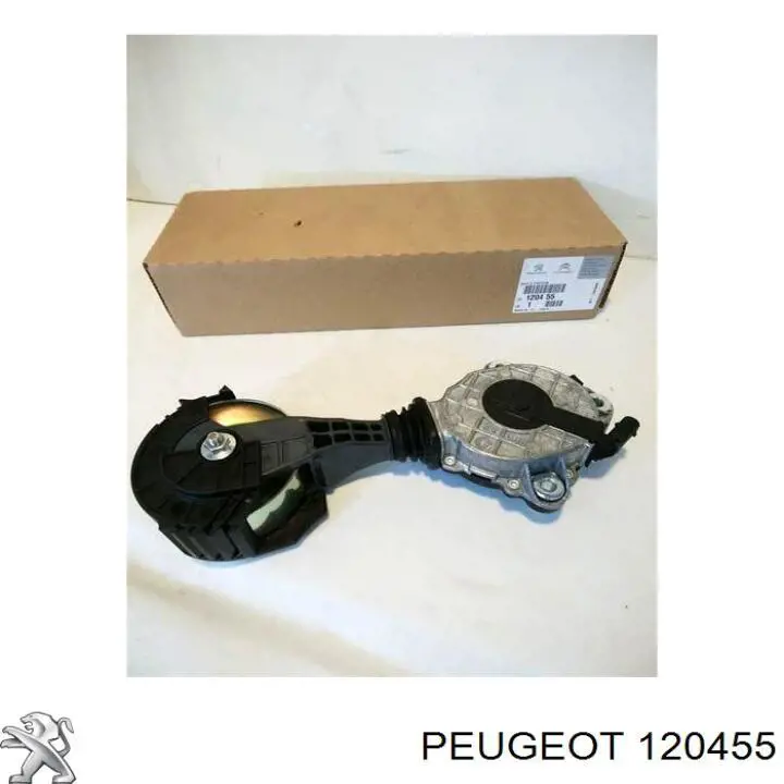 120455 Peugeot/Citroen Napinacz paska napędowego