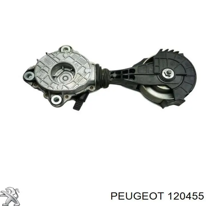 Do koszyka 120455 Peugeot/Citroen Napinacz paska napędowego