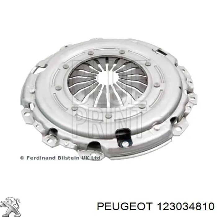 Do koszyka Docisk sprzęgła Citroen C5 I DC