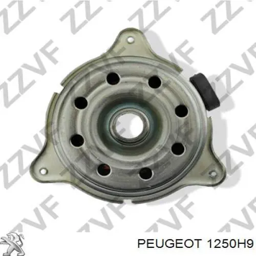 Do koszyka 1250H9 Peugeot/Citroen Dyfuzor chłodnicy, w komplecie z silnikiem i wirnikiem
