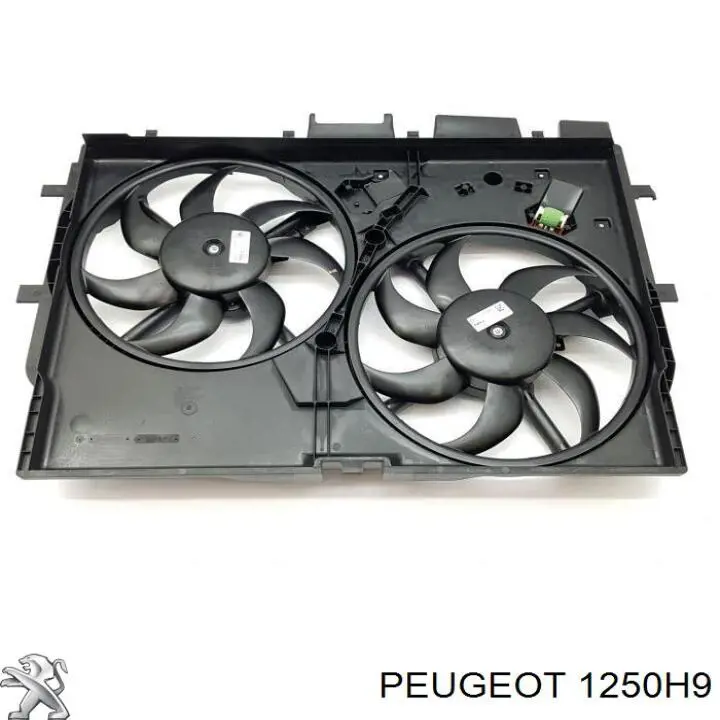Dyfuzor chłodnicy, w komplecie z silnikiem i wirnikiem Peugeot/Citroen 1250H9 cena, od 131,82 USD