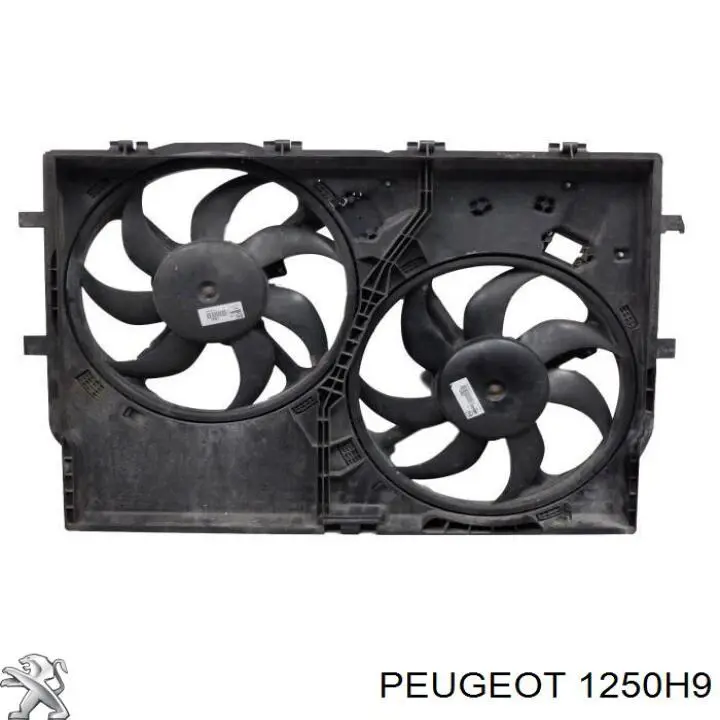 Do koszyka 1250H9 Peugeot/Citroen Dyfuzor chłodnicy, w komplecie z silnikiem i wirnikiem