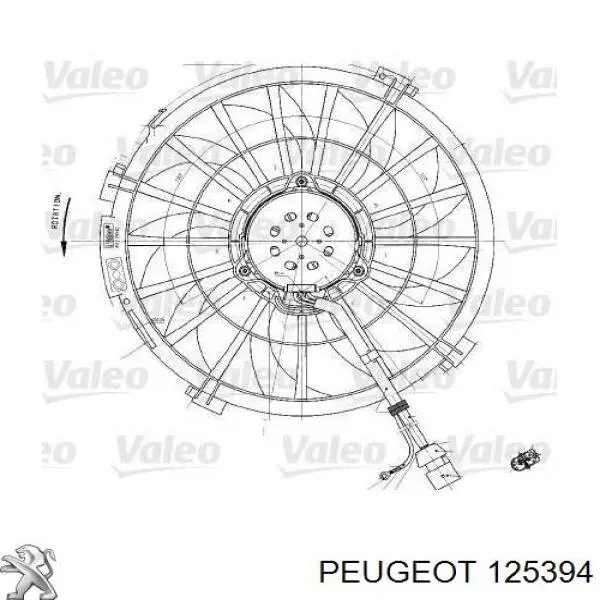 Wentylator elektryczny układu chłodzenia kompletny (silnik+wirnik) Peugeot Expert (222)