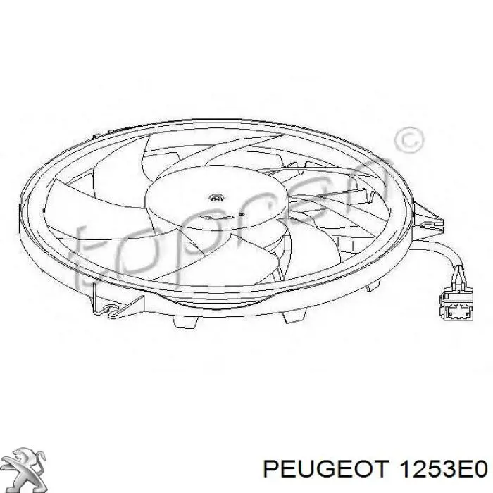 1253E0 Peugeot/Citroen wentylator elektryczny układu chłodzenia kompletny (silnik+wirnik)