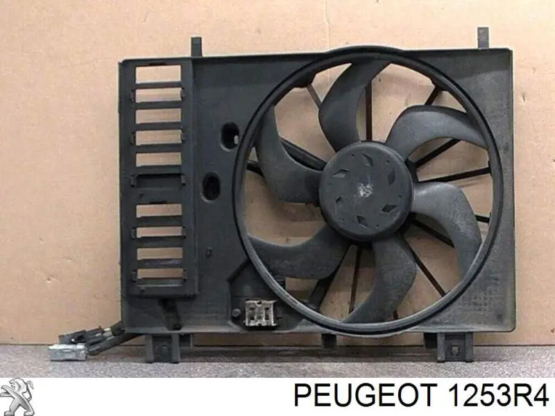 1253R4 Peugeot/Citroen Dyfuzor chłodnicy, w komplecie z silnikiem i wirnikiem
