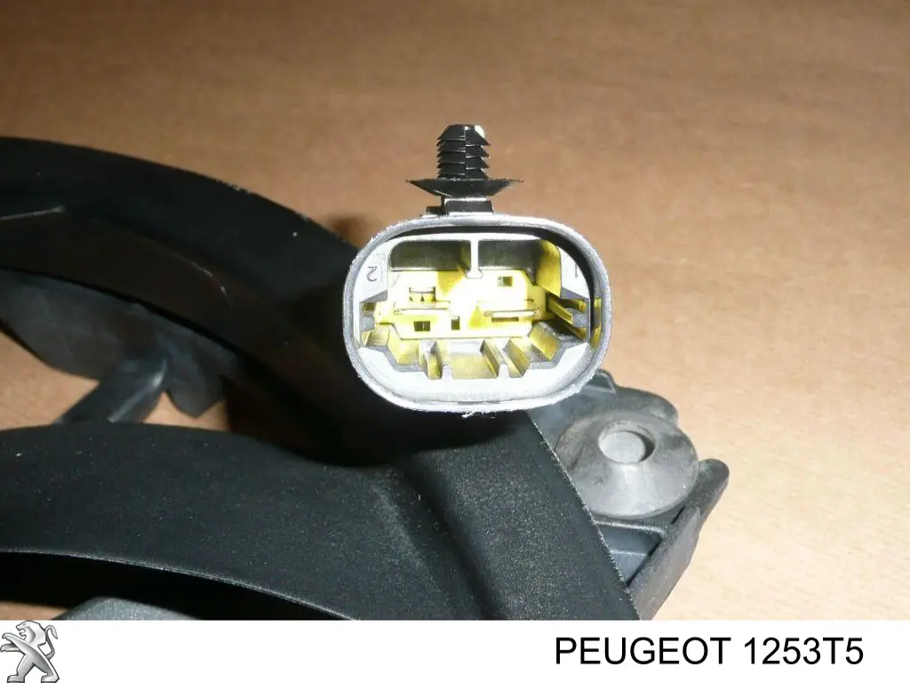 Do koszyka 1253T5 Peugeot/Citroen Wentylator elektryczny układu chłodzenia kompletny (silnik+wirnik)