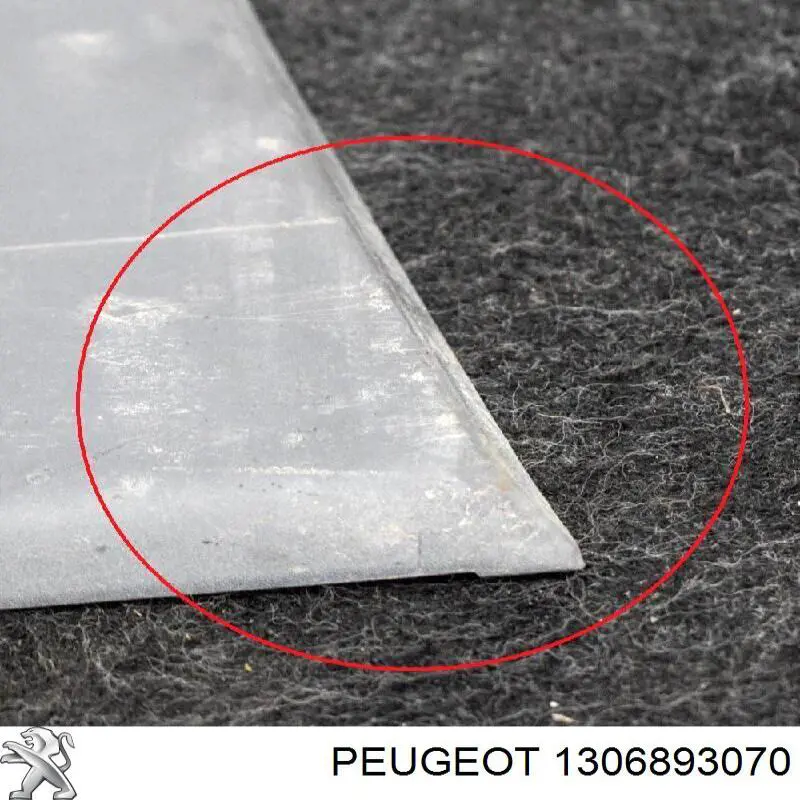 Do koszyka 1306893070 Peugeot/Citroen Nakładka słupka nadwozia zewnętrzna środkowa prawa