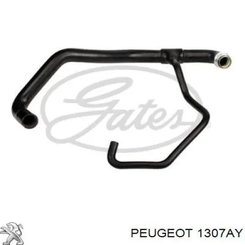 Do koszyka 1307AY Peugeot/Citroen Przewód (króciec) układu chłodzenia
