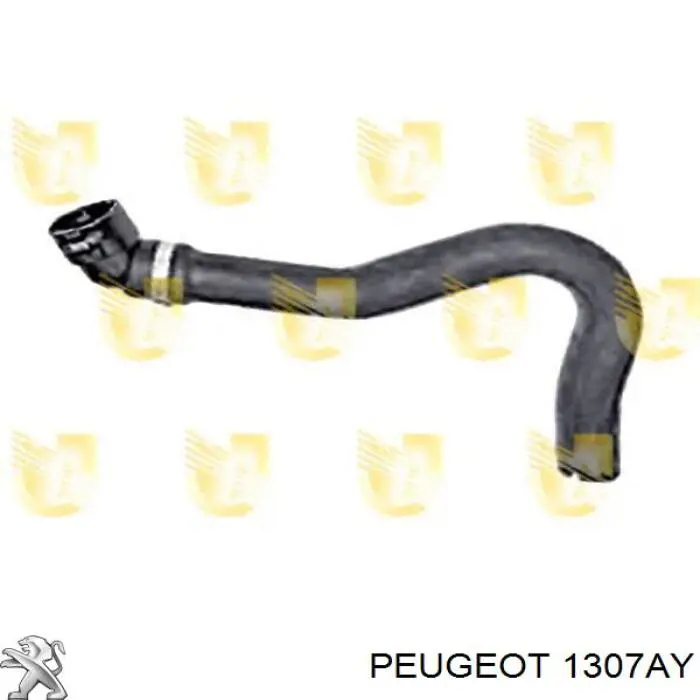 1307AY Peugeot/Citroen Przewód (króciec) układu chłodzenia