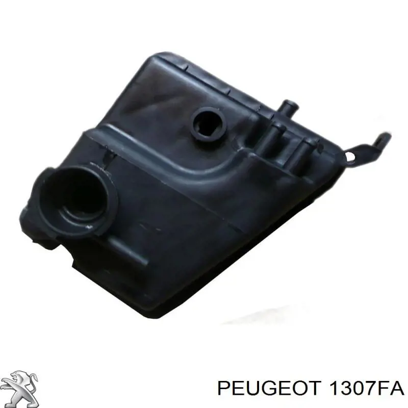 1307FA Peugeot/Citroen Zbiorniczek wyrównawczy układu chłodzenia