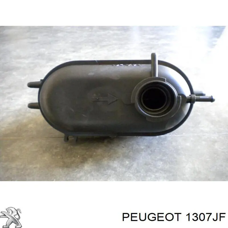 Zbiorniczek wyrównawczy układu chłodzenia Peugeot/Citroen 1307JF cena, od 35,72 USD
