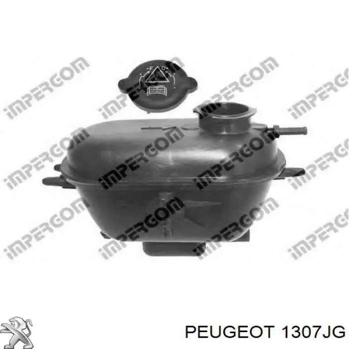Do koszyka 1307JG Peugeot/Citroen Zbiorniczek wyrównawczy układu chłodzenia