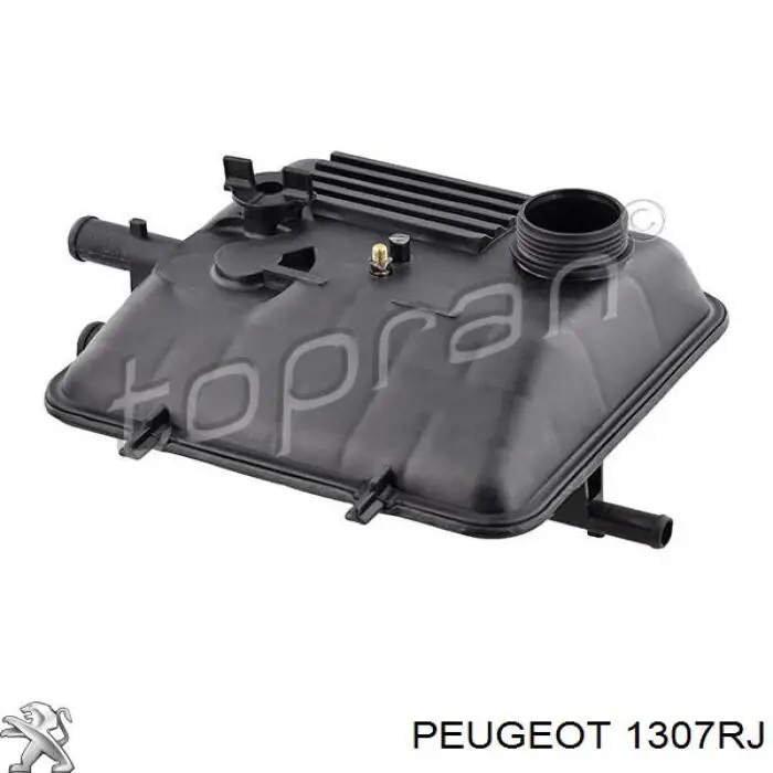 Do koszyka 1307RJ Peugeot/Citroen Zbiorniczek wyrównawczy układu chłodzenia