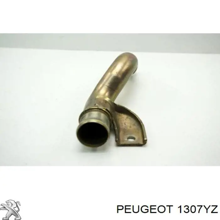 Do koszyka 1307YZ Peugeot/Citroen Przewód (króciec) układu chłodzenia