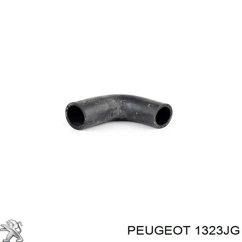 Do koszyka 1323JG Peugeot/Citroen Przewód (króciec) termostatu