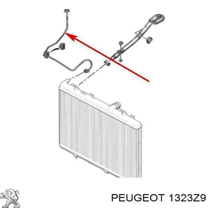 1323Z9 Peugeot/Citroen Przewód zbiornika wyrównawczego górny