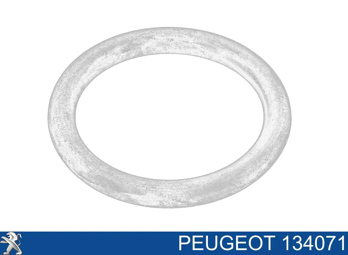 134071 Peugeot/Citroen Pierścień uszczelniający układu chłodzenia