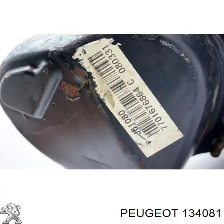 134081 Peugeot/Citroen Uszczelka obudowy termostatu
