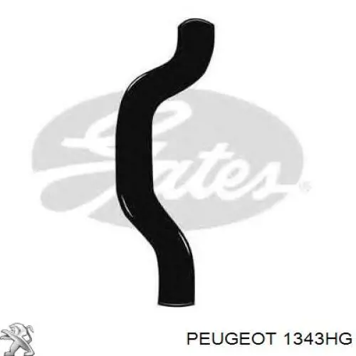 Przewód (króciec) chłodnicy górny Peugeot/Citroen 1343HG cena, od 52,67 USD