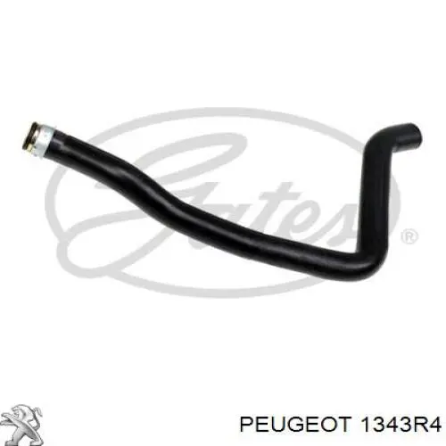 Do koszyka 1343R4 Peugeot/Citroen Przewód (króciec) chłodnicy górny
