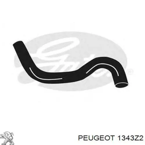 Przewód (króciec) chłodnicy górny 1343Z2 Peugeot/Citroen