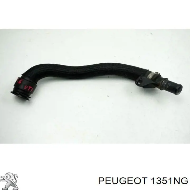 Do koszyka 00001351NG Peugeot/Citroen Przewód (króciec) układu chłodzenia