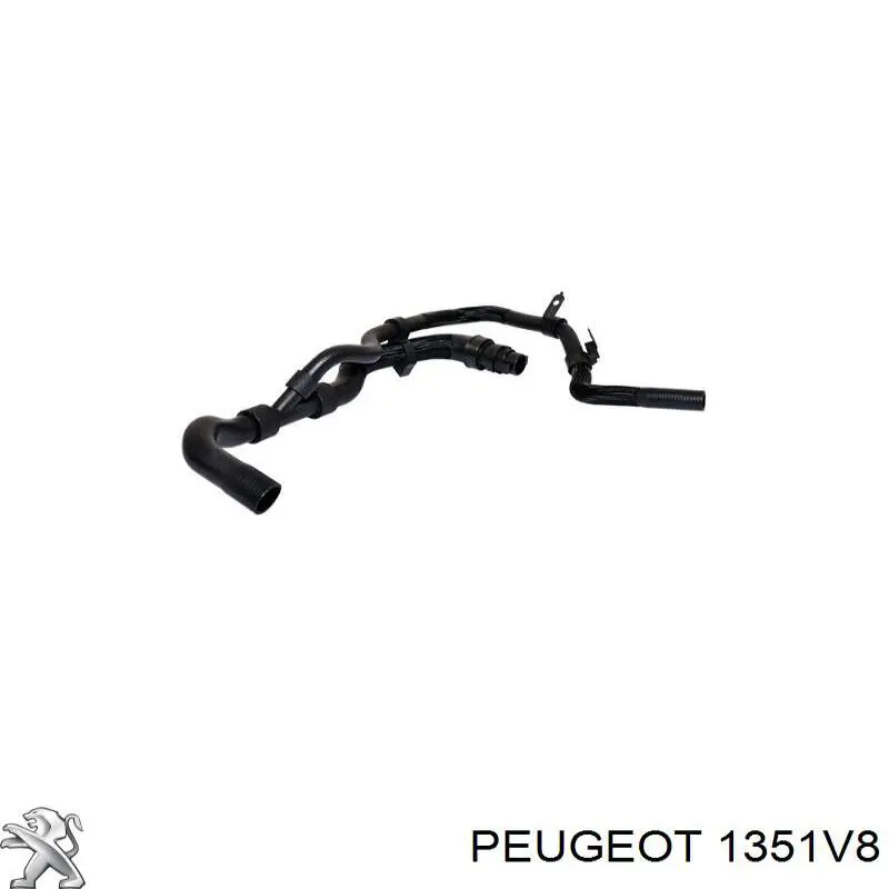 Do koszyka 1351V8 Peugeot/Citroen Przewód (króciec) chłodnicy górny