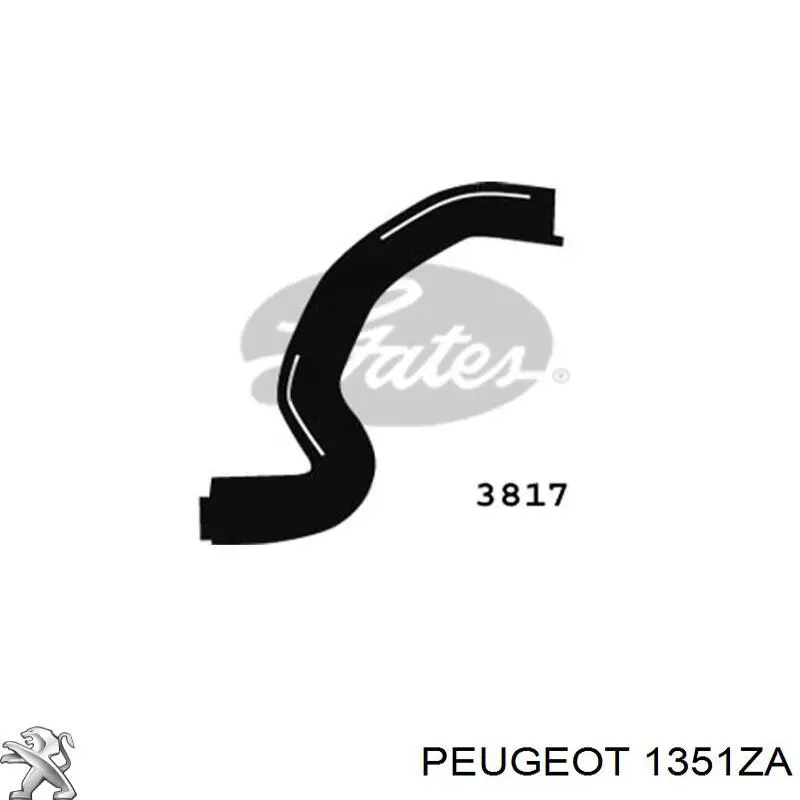 Do koszyka 1351ZA Peugeot/Citroen Przewód (króciec) układu chłodzenia