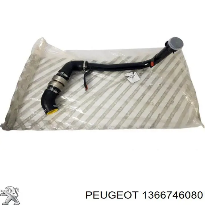 1366746080 Fiat/Alfa/Lancia Przewód (króciec) intercoolera